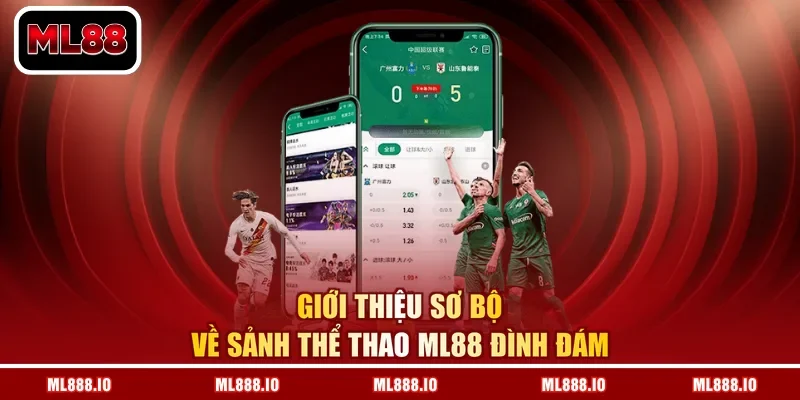 Giới thiệu sơ bộ về sảnh thể thao ML88 đình đám