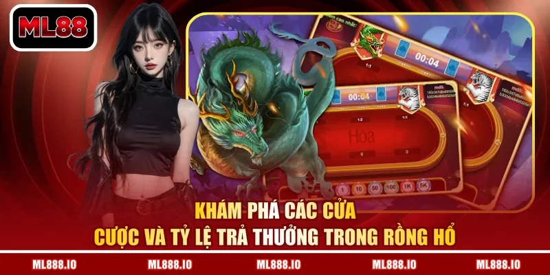 Khám phá các cửa cược và tỷ lệ trả thưởng trong rồng hổ